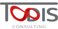 TODIS CONSULTING